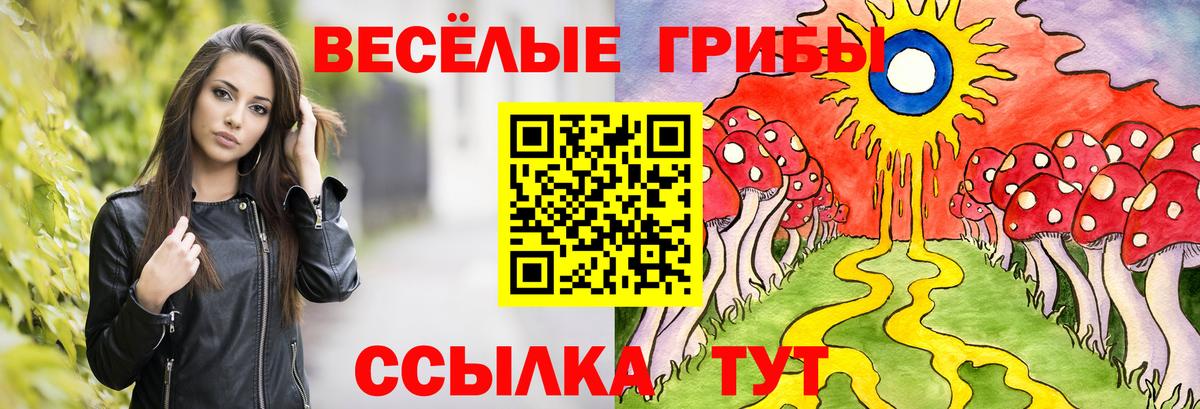 Псилоцибиновые грибы Psilocybine cubensis Шатура
