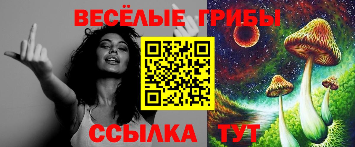 Галлюциногенные грибы ЛСД  закладки  Шатура  Вход с VPN 